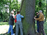 teamtraining outdoor blindwalk